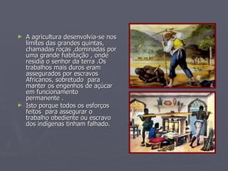 A agricultura desenvolvia-se nos limites das grandes quintas, chamadas roças ,dominadas por uma grande habitação , onde residia o senhor da terra .Os trabalhos mais duros eram assegurados por escravos Africanos, sobretudo  para manter os engenhos de açúcar em funcionamento permanente . Isto porque todos os esforços feitos  para assegurar o trabalho obediente ou escravo dos indígenas tinham falhado.   