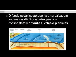 O fundo oceânico apresenta uma paisagem submarina idêntica à paisagem dos continentes: montanhas, vales e planícies.