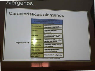 14 Alergia   Dr Salas