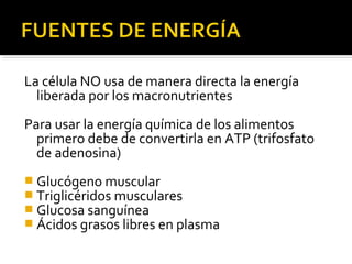 La célula NO usa de manera directa la energía
liberada por los macronutrientes
Para usar la energía química de los alimentos
primero debe de convertirla en ATP (trifosfato
de adenosina)
 Glucógeno muscular
 Triglicéridos musculares
 Glucosa sanguínea
 Ácidos grasos libres en plasma
 