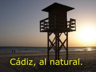 Cádiz, al natural.