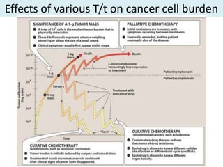 Effects of various T/t on cancer cell burden
 