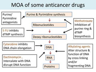 MOA of some anticancer drugs
Purine/          Purine & Pyrimidine synthesis
Pyrimidine
antagonists                                          Methotrexate
                       Ribonucleotides               Inhibition of
                                                     purine ring &
5 FU inhibits
                                                     dTMP
dTMP synthesis
                       Deoxy ribonucleotides         biosynthesis

Cytarabine inhibits
DNA chain elongation            DNA              Alkylating agents
                                                 Alter structure &
                                                 function of DNA
Dactinomycin ,                  RNA              by cross linking
Intercalate with DNA                             and/or
disrupt DNA function                             fragmenting DNA
                               Proteins
 