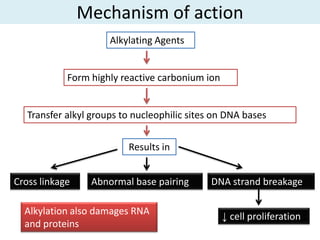 Mechanism of action
                      Alkylating Agents


            Form highly reactive carbonium ion


   Transfer alkyl groups to nucleophilic sites on DNA bases


                          Results in


Cross linkage    Abnormal base pairing        DNA strand breakage

  Alkylation also damages RNA
                                                 ↓ cell proliferation
  and proteins
 