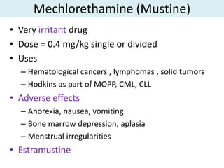 Mechlorethamine (Mustine)
• Very irritant drug
• Dose = 0.4 mg/kg single or divided
• Uses
  – Hematological cancers , lymphomas , solid tumors
  – Hodkins as part of MOPP, CML, CLL
• Adverse effects
  – Anorexia, nausea, vomiting
  – Bone marrow depression, aplasia
  – Menstrual irregularities
• Estramustine
 