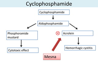 Cyclophosphamide
                   Cyclophosphamide


                   Aldophosphamide


Phosphoramide                        Acrolein
mustard


                                      Hemorrhagic cystitis
Cytotoxic effect

                      Mesna
 