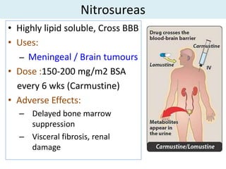 Nitrosureas
• Highly lipid soluble, Cross BBB
• Uses:
  – Meningeal / Brain tumours
• Dose :150-200 mg/m2 BSA
  every 6 wks (Carmustine)
• Adverse Effects:
  – Delayed bone marrow
    suppression
  – Visceral fibrosis, renal
    damage
 
