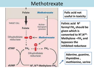 Methotrexate
               Folic acid not
               useful in toxicity

           Folinic acid N5
           formyl FH4 should be
           given which is
           converted to N5,N10-
           Methylene –FH4 and
           bypasses the
           inhibited reductase

                Adenine, guanine,
                thymidine ,
                methionine, serine
 