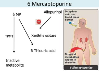 6 Mercaptopurine
                      Allopurinol
   6 MP




TPMT          Xanthine oxidase



              6 Thiouric acid

Inactive
metabolite
 