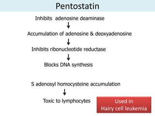 Pentostatin
   Inhibits adenosine deaminase

Accumulation of adenosine & deoxyadenosine


 Inhibits ribonucleotide reductase


      Blocks DNA synthesis


 S adenosyl homocysteine accumulation


      Toxic to lymphocytes           Used in
                               Hairy cell leukemia
 