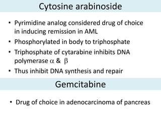 Cytosine arabinoside
• Pyrimidine analog considered drug of choice
  in inducing remission in AML
• Phosphorylated in body to triphosphate
• Triphosphate of cytarabine inhibits DNA
  polymerase &
• Thus inhibit DNA synthesis and repair
               Gemcitabine
• Drug of choice in adenocarcinoma of pancreas
 