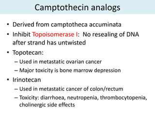 Camptothecin analogs
• Derived from camptotheca accuminata
• Inhibit Topoisomerase I: No resealing of DNA
  after strand has untwisted
• Topotecan:
  – Used in metastatic ovarian cancer
  – Major toxicity is bone marrow depression
• Irinotecan
  – Used in metastatic cancer of colon/rectum
  – Toxicity: diarrhoea, neutropenia, thrombocytopenia,
    cholinergic side effects
 