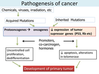 Pathogenesis of cancer
Chemicals, viruses, irradiation, etc


  Acquired Mutations                   Inherited Mutations

 Protooncogenes  oncogenes ↓ expression of tumor
                            supressor genes (P53, Rb etc)

                          Promoters,
                          co-carcinogen,
                          hormones
   Uncontrolled cell
   proliferation,                          ↓ apoptosis, alterations
   dedifferentiation                       in telomerase


                Development of primary tumor
 