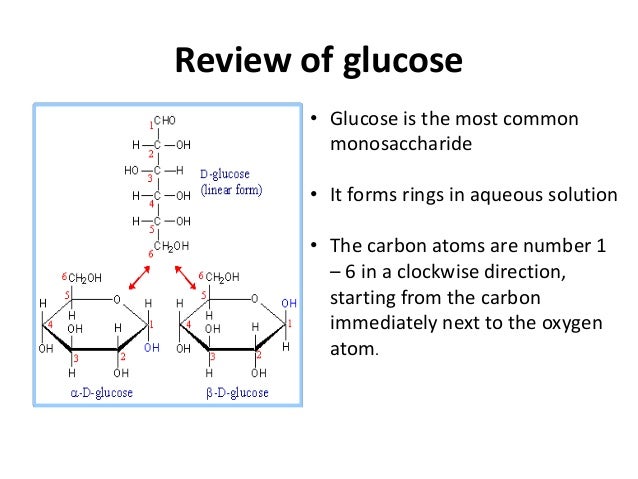 carbon and carbohydrates common carbohydrates