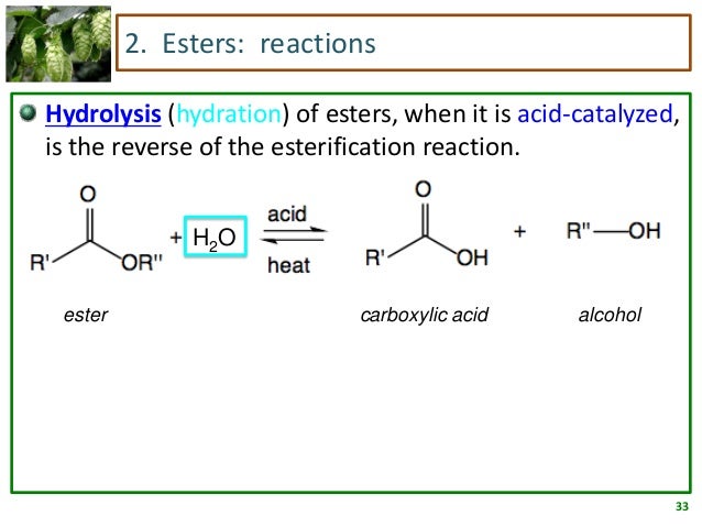 14 carboxylic-acids-and-derivatives