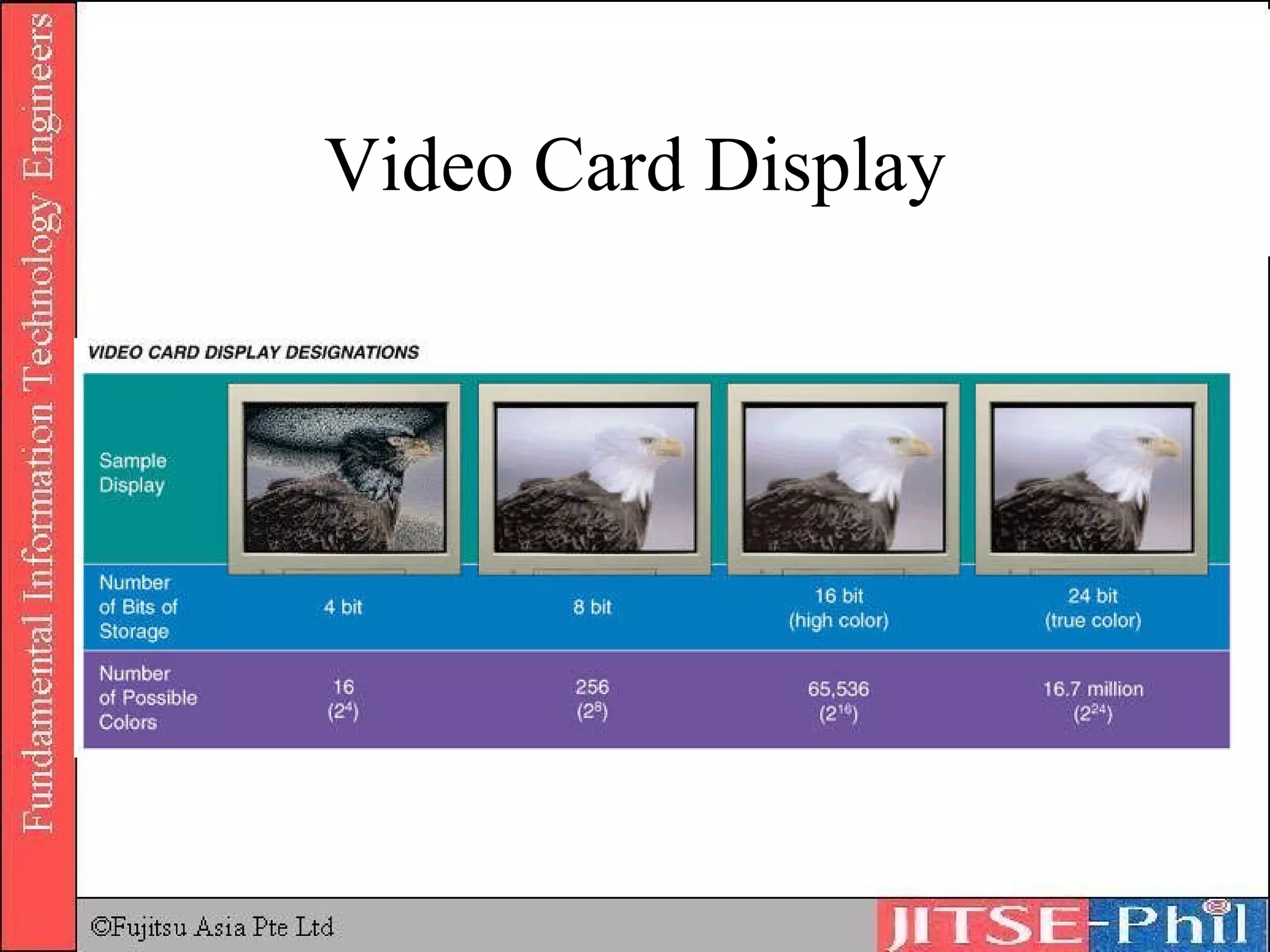 Video Card Display 