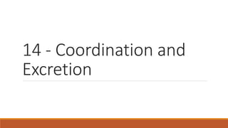14 - Coordination and
Excretion
 