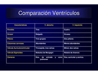 Comparación Ventrículos
              Comparación Ventrículos
          Características                V. derecho                          V. Izquierdo

Paredes                       Tres                                 Cuatro

Grosor                        Delgado                              Grueso

Pilares                       Tres grupos                          Dos pilares

Columnas carnosas             Abundantes                           Menos abundantes

Válvula Auriculoventricular   Tricúspide, tres valvas              Mitral, dos valvas

Válvula Sigmoídea             Nódulos de Morgagni                  Nódulo de Arancio

Cámaras                       Dos,     de entrada       y   cono   Dos, auricular y aortica.
                                     pulmonar
 