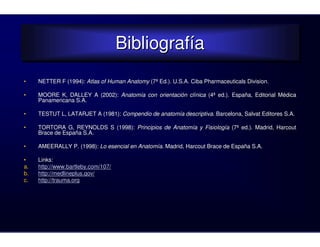 Bibliografía
                                    Bibliografía
•    NETTER F (1994): Atlas of Human Anatomy (7ª Ed.). U.S.A. Ciba Pharmaceuticals Division.
                                             (7ª Ed.). U.S.A.                      Division.

•    MOORE K, DALLEY A (2002): Anatomía con orientación clínica (4ª ed.). España, Editorial Médica
                               Anatomí      orientació clí      (4ª ed.). Españ             Mé
     Panamericana S.A.

•    TESTUT L, LATARJET A (1981): Compendio de anatomía descriptiva. Barcelona, Salvat Editores S.A.
                                               anatomí descriptiva.

•    TORTORA G, REYNOLDS S (1998): Principios de Anatomía y Fisiología (7ª ed.). Madrid, Harcout
                                                 Anatomí    Fisiologí (7ª ed.).
     Brace de España S.A.
              Españ

•    AMEERALLY P. (1998): Lo esencial en Anatomía. Madrid, Harcout Brace de España S.A.
                                         Anatomí                            Españ

•    Links:
a.   http://www.bartleby.com/107/
b.   http://medlineplus.gov/
c.   http://trauma.org
 