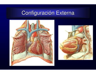 Configuración Externa
Configuración Externa
 