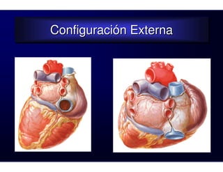 Configuración Externa
Configuración Externa
 