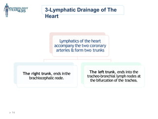 3-Lymphatic Drainage of The
Heart
Lymphatics of the heart
accompany the two coronary
arteries &form two trunks
The right trunk, ends inthe
brachiocephalic node.
The left trunk, ends into the
tracheo-bronchial lymph nodes at
the bifurcation of the trachea.
 14
 