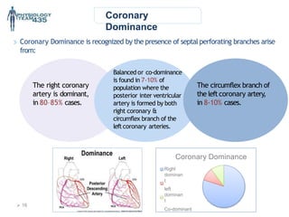 Coronary
Dominance
Coronary Dominance
Right
dominan
t
left
dominan
t
Co-dominant
Coronary Dominance is recognized by the presence of septal perforating branches arise
from:
The right coronary
artery is dominant,
in 80–85% cases.
The circumflex branch of
the leftcoronary artery,
in 8-10% cases.
Balanced or co-dominance
is found in 7-10% of
population where the
posterior inter ventricular
artery is formed by both
right coronary &
circumflex branch of the
leftcoronary arteries.
 16
 