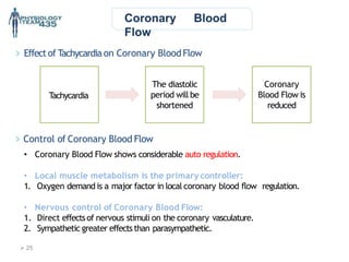 Coronary Blood
Flow
T
achycardia
The diastolic
period will be
shortened
Coronary
Blood Flow is
reduced
Control of Coronary Blood Flow
• Coronary Blood Flow shows considerable auto regulation.
• Local muscle metabolism is the primary controller:
1. Oxygen demand is a major factor in local coronary blood flow regulation.
• Nervous control of Coronary Blood Flow:
1. Direct effectsof nervous stimuli on the coronary vasculature.
2. Sympathetic greater effectsthan parasympathetic.
Effectof Tachycardiaon Coronary BloodFlow
 25
 