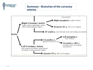 Summary - Branches of the coronary
arteries
 8
 