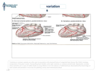 variation
s
Variations in coronary anatomy are often seen in association with structural forms of congenital heart disease like Fallot's tetralogy,
transposition of the great vessels, Taussig-Bing heart (double-outlet right ventricle), or common arterial trunk. Importantly, coronary
artery anomalies are a cause of sudden death in young athletes even in the absence of additional heart abnormalitiesPrior knowledge of
such variants and anomalies is necessary for planning various interventional procedures
 9
 