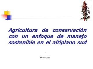 Agricultura de conservación con un enfoque de manejo sostenible en el altiplano sud Oruro - 2010 