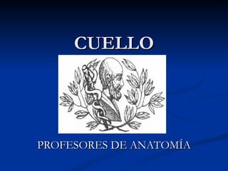 CUELLO PROFESORES DE ANATOMÍA 