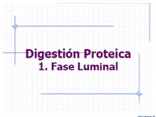 Edgar H. Murcia M. MV
 