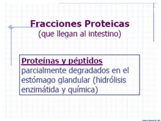 Edgar H. Murcia M. MV
 