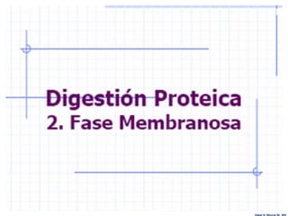 Edgar H. Murcia M. MV
 