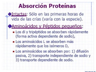 Edgar H. Murcia M. MV
 