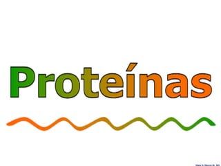 Edgar H. Murcia M. MV
 