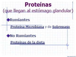 Edgar H. Murcia M. MV
 