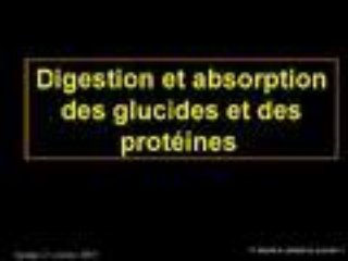 14 digestionabsorptionglucidesproteines-120306154731-phpapp01-thumbnail-2