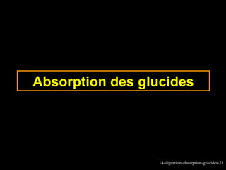 Absorption des glucides




                  14-digestion-absorption-glucides-21
 
