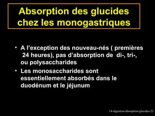 Absorption des glucides
chez les monogastriques

• A l’exception des nouveau-nés ( premières
   24 heures), pas d’absorption de di-, tri-,
  ou polysaccharides
• Les monosaccharides sont
  essentiellement absorbés dans le
  duodénum et le jéjunum



                                 14-digestion-absorption-glucides-22
 