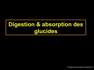 Digestion & absorption des
         glucides




                    14-digestion-absorption-glucides-6
 
