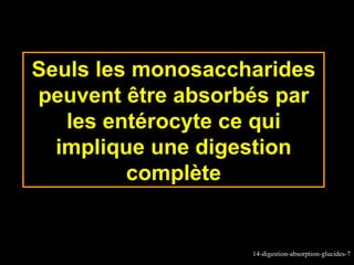 Seuls les monosaccharides
peuvent être absorbés par
   les entérocyte ce qui
  implique une digestion
         complète


                   14-digestion-absorption-glucides-7
 