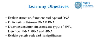 14-DNA^J RNA ^0 Genetic code- its on human cell and nucleus | PDF