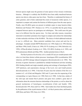 Evolution of DNA repair genes, proteins and processes | PDF