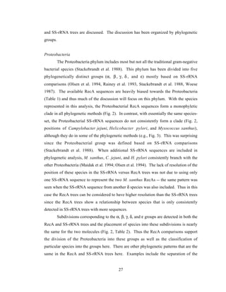 Evolution of DNA repair genes, proteins and processes | PDF