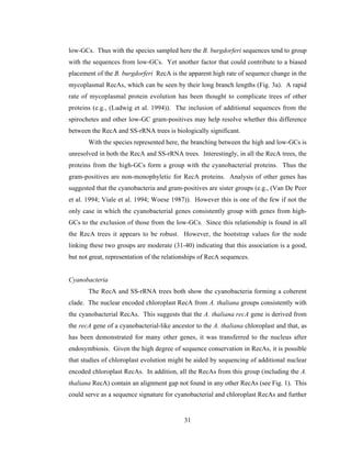 Evolution of DNA repair genes, proteins and processes | PDF