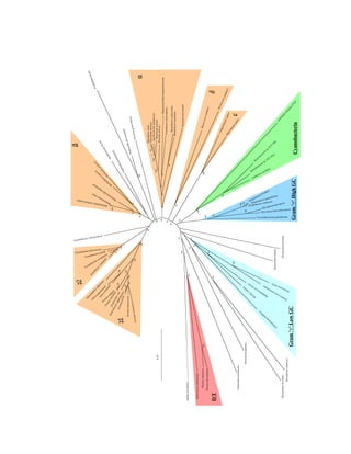 Evolution of DNA repair genes, proteins and processes | PDF