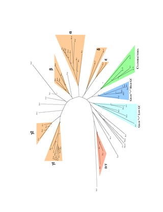 Evolution of DNA repair genes, proteins and processes | PDF
