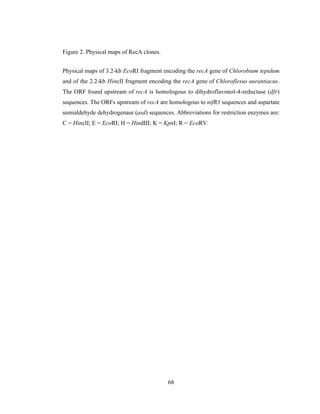 Evolution of DNA repair genes, proteins and processes | PDF